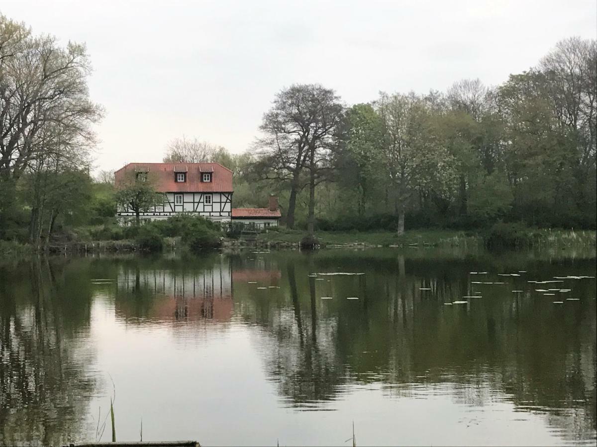 Ferienwohnung Hoppelnase Mit Eigener Sauna Langenstein Esterno foto