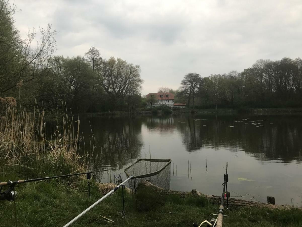 Ferienwohnung Hoppelnase Mit Eigener Sauna Langenstein Esterno foto